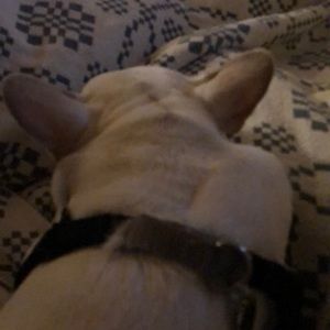 Meet your Posher, Shauna